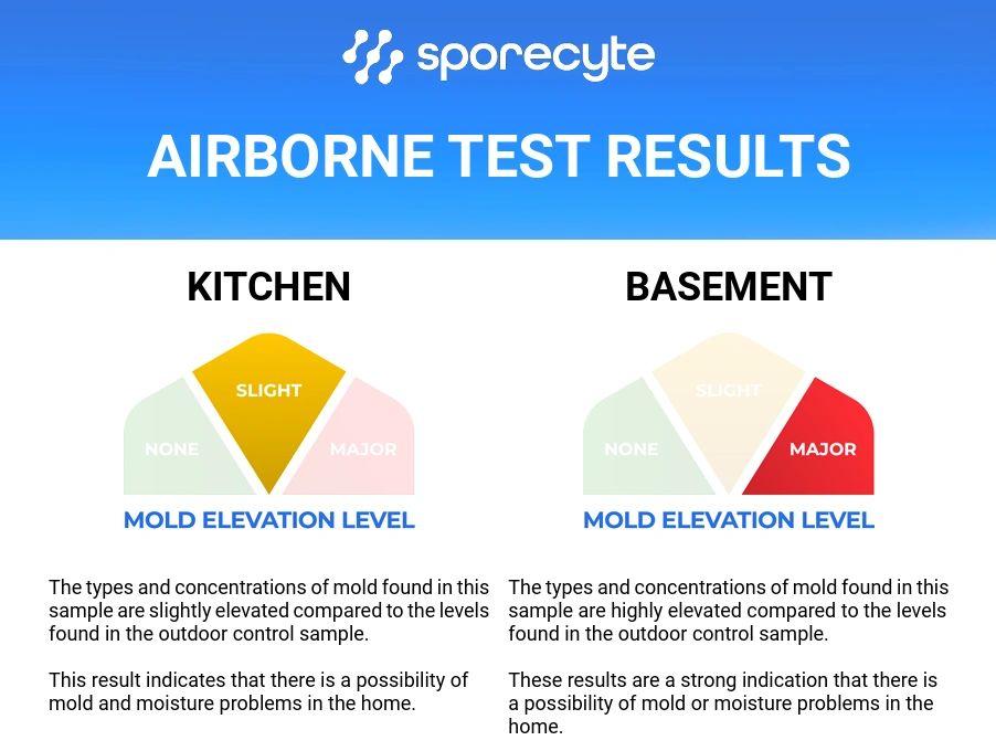 Sample Sporecyte airborne mold report with kitchen and basement results