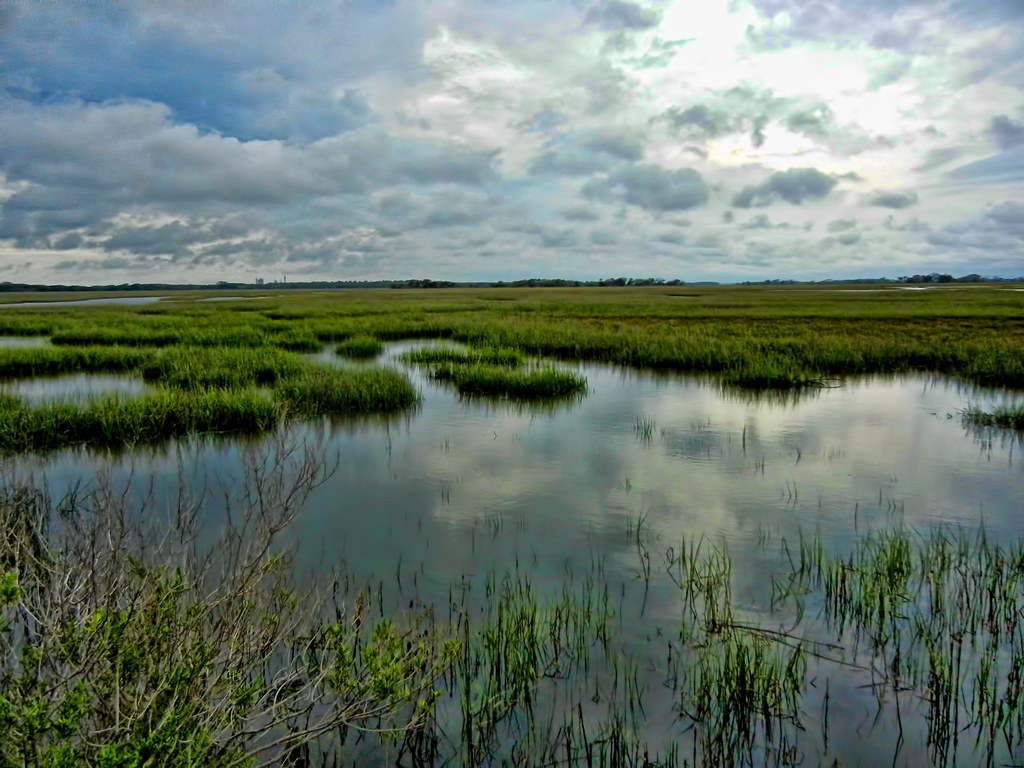 Salt marsh and open water