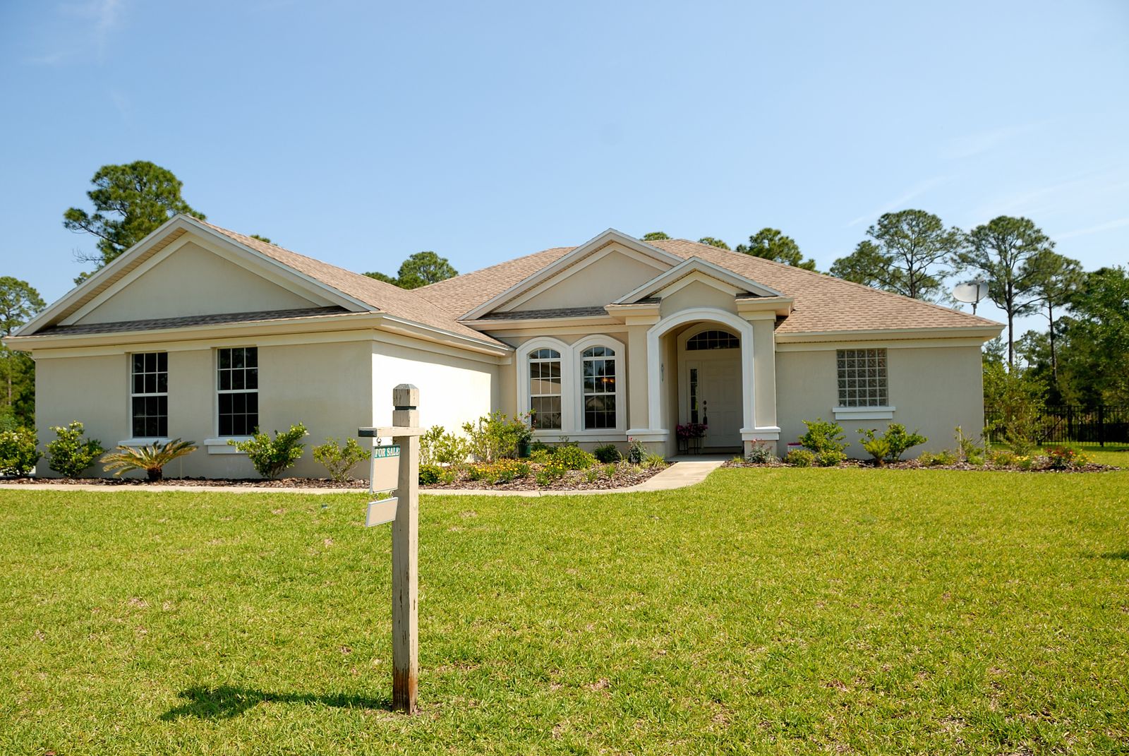 House with a lawn and shade trees
